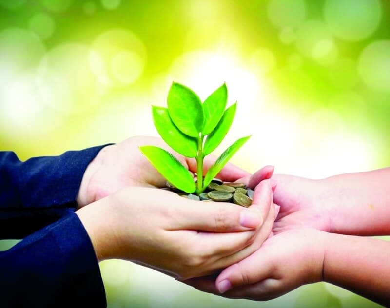 كفالة طالب علم